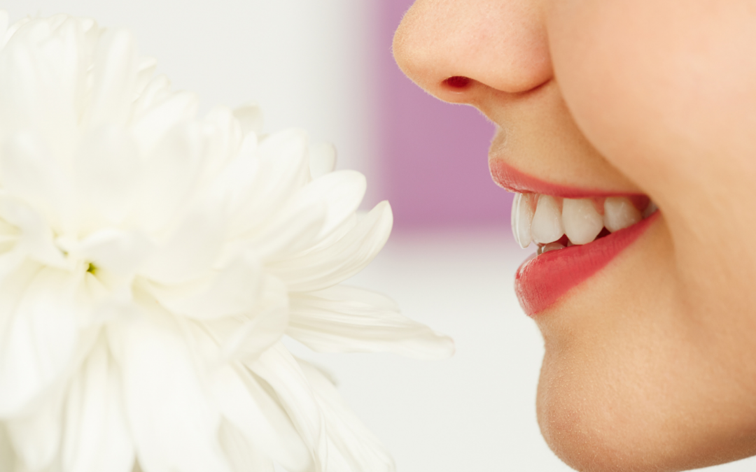 Spring Refresher! Teeth Whitening 101